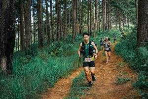 BIB: 
                            <button type="button" onclick="openModal(25739370)" class="btn btn-primary btn-sm float-right btn-popup" data-toggle="modal" data-target=".modal-high-quality">
                        <i class="fas fa-shopping-cart"></i> Add to Cart
                    </button>
                                            <button type="button" onclick="isThisMe(25739370, true)" class="btn btn-success btn-sm float-right btn-popup btn-isme hidden" data-toggle="tooltip" data-placement="bottom" title="นี่คือรูปของคุณใช่ไหม คลิกที่นี่เพื่อเอาเข้าอัลบั้ม">
                        <i class="fas fa-plus"></i> Add to album
                    </button>
                    <button type="button" onclick="isThisMe(25739370, false)" class="btn btn-warning btn-sm float-right btn-popup btn-isnotme hidden">
                        <i class="fas fa-ban"></i> Remove from album
                    </button>